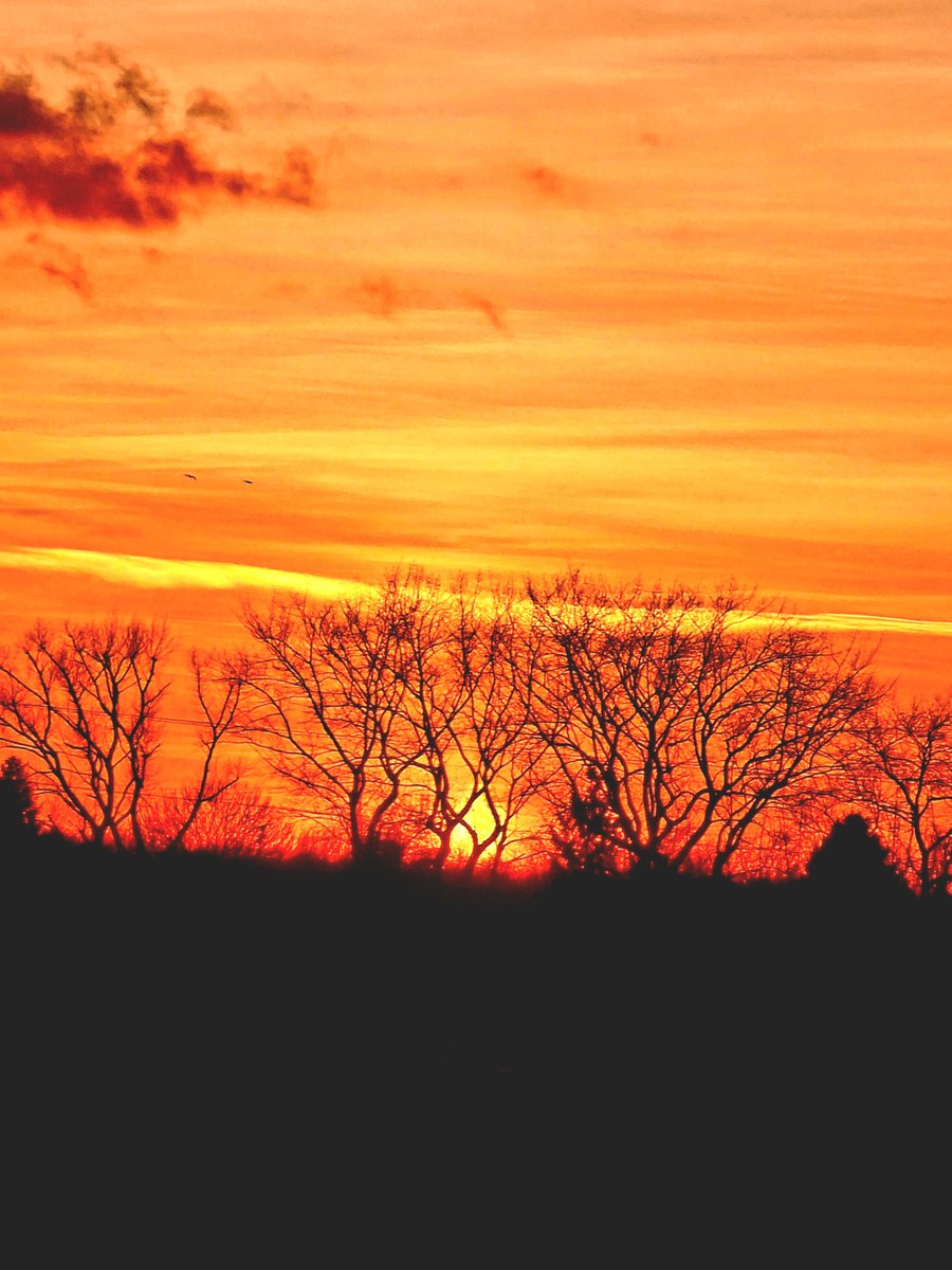 JoyfulFE's tweet photo. #ChasingTheSunset stunning this evening , the trees, buildings & clouds look fabulous ✨️
No sunset/sunrise is the same, reminds me of an #ideasroom - energy soaring, light bulb moments & everyone within it blooming ✨️
#ConnectingWithNature #JoyFE https://t.co/eFkayuEIrn