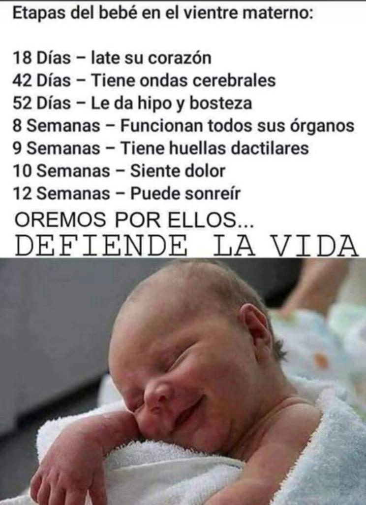 Sonia Blanco Llorent (@soniablbida) on Twitter photo 