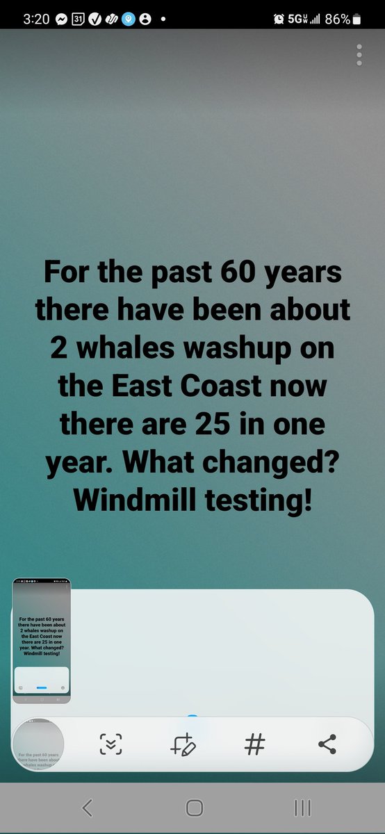 Seth Grossman tweet media