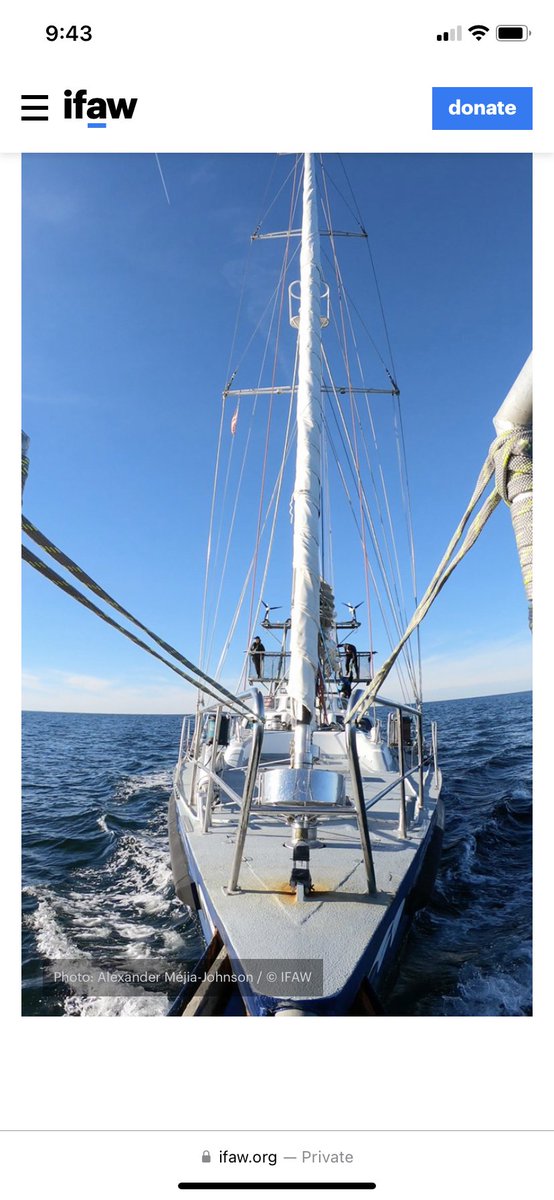 Carol Brighton (@twcurrent) on Twitter photo #SavingWhales - #WorldWhaleDay: This <a href="/IFAWUK/">ifaw United Kingdom</a> vessel is sailing up the East Coast with #RightWhales. “Song of the Whale” will follow mothers and their calves and act to protect them from #shipstrikes in dangerous areas. They are making a public port of call in DC Feb. 27. #SavingWhales - #WorldWhaleDay: This <a href="/IFAWUK/">ifaw United Kingdom</a> vessel is sailing up the East Coast with #RightWhales. “Song of the Whale” will follow mothers and their calves and act to protect them from #shipstrikes in dangerous areas. They are making a public port of call in DC Feb. 27.