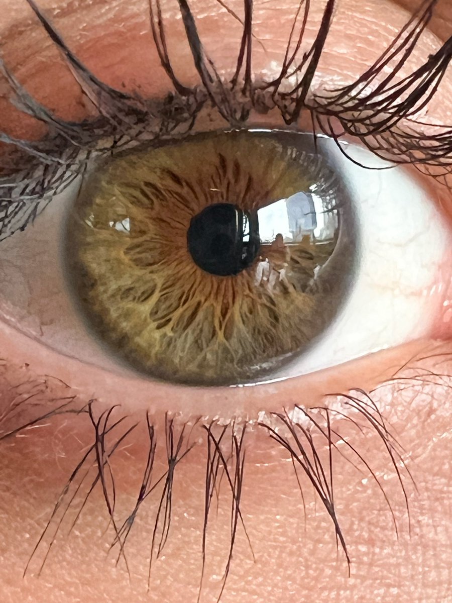 paulinaherriv's tweet photo. La ventana al alma 👁️ https://t.co/ZQ3ZiX1dFn