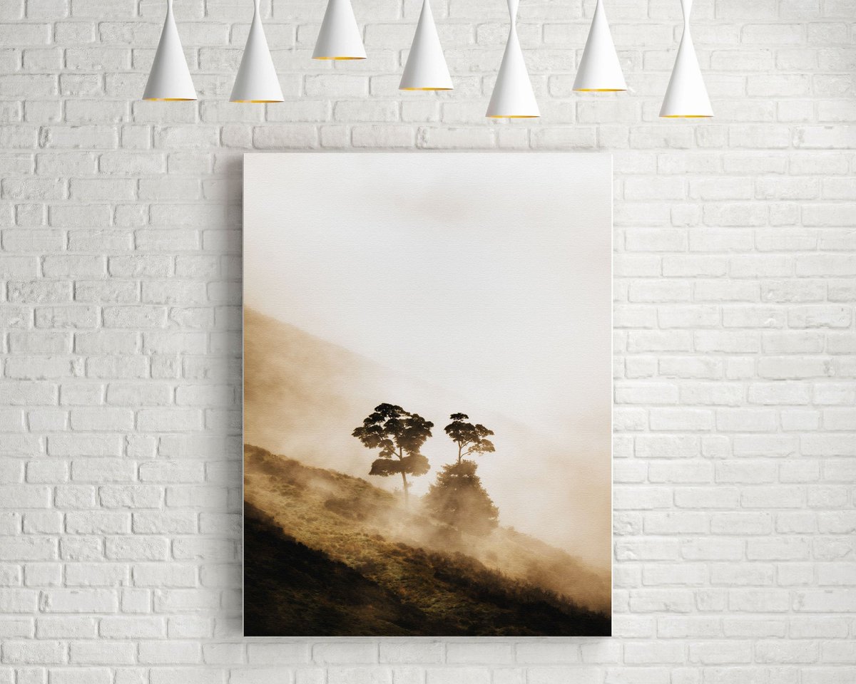 SOMBRE SHROUD - Original Fine Art Landscape Photography - Tree Print Wall Art on Canvas, Print or Framed - Peak District UK p.danscape.co/3tiIFGK #Prints #OriginalLandscape