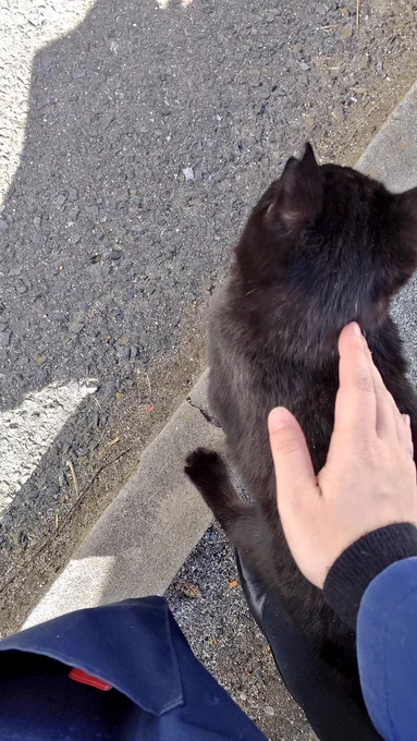 ふぉー!今日のヤンキー超デレデレ 