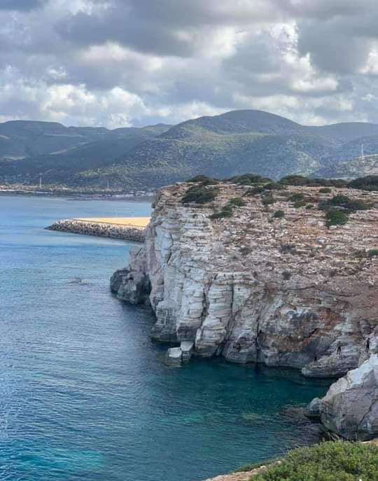 مفتاح بوالعبد tweet media