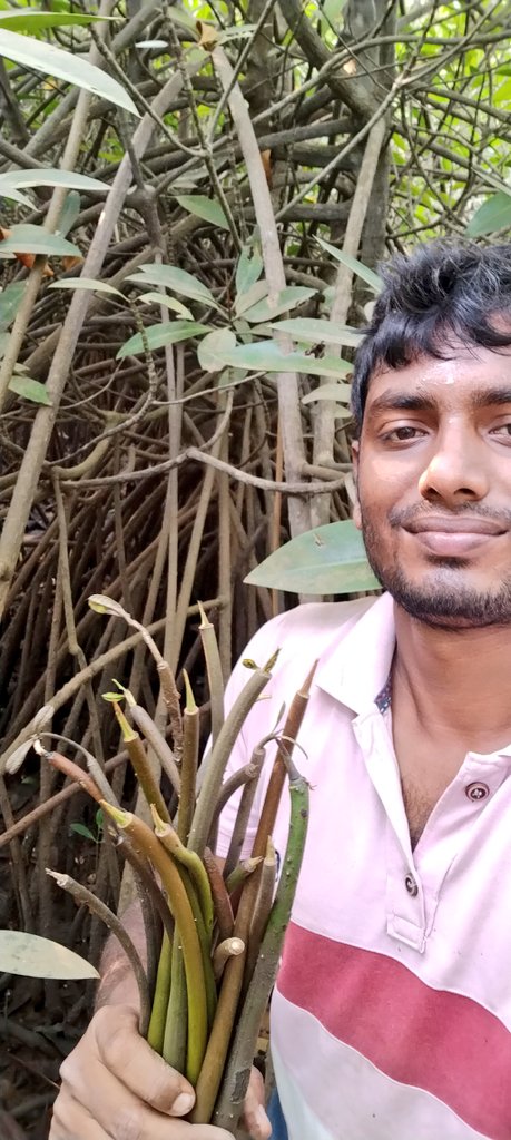 SoumyaMarineWL's tweet photo. Vande mataram 🪷

Challenges are what make life interesting and overcoming them is what makes life meaningful.

#ClimateChange
#ClimateResilience 
#ActionForClimateChange
#MangroveSeedCollection
#MangrovesForClimateResilience
#MangrovesForSustainableFuture

Jai Hind 🇮🇳 https://t.co/cDkCMckfKb