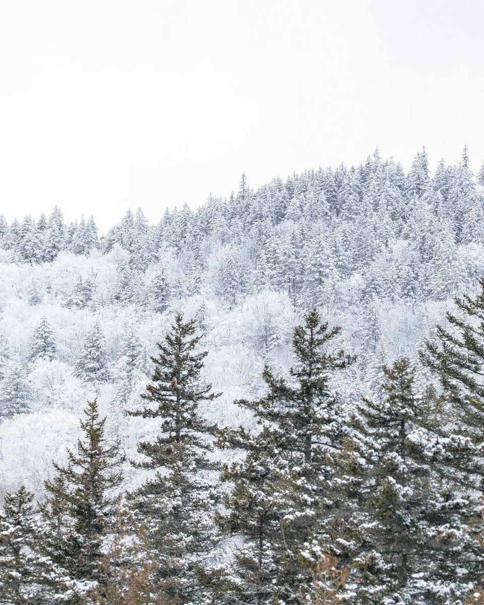 The big question: how much more snow is left to fall this winter? ❄️❤️ We love every season in Maine! (Photo by IG user: eisenhaur_photography)