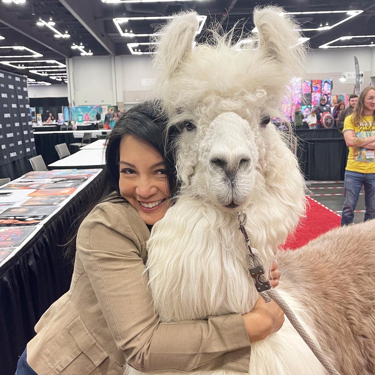 MingNa's tweet photo. Llama Love!🦙❤️🥰

Meet Caesar, the no drama llama. Too adorable!😘

@fanexpoportland https://t.co/KjQLSMKWOw
