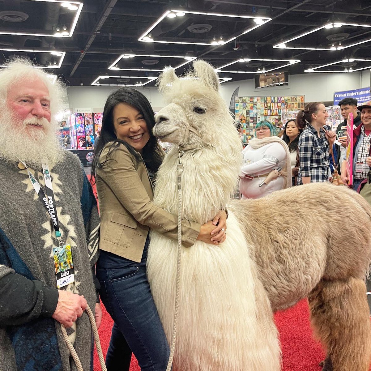 MingNa's tweet photo. Llama Love!🦙❤️🥰

Meet Caesar, the no drama llama. Too adorable!😘

@fanexpoportland https://t.co/KjQLSMKWOw
