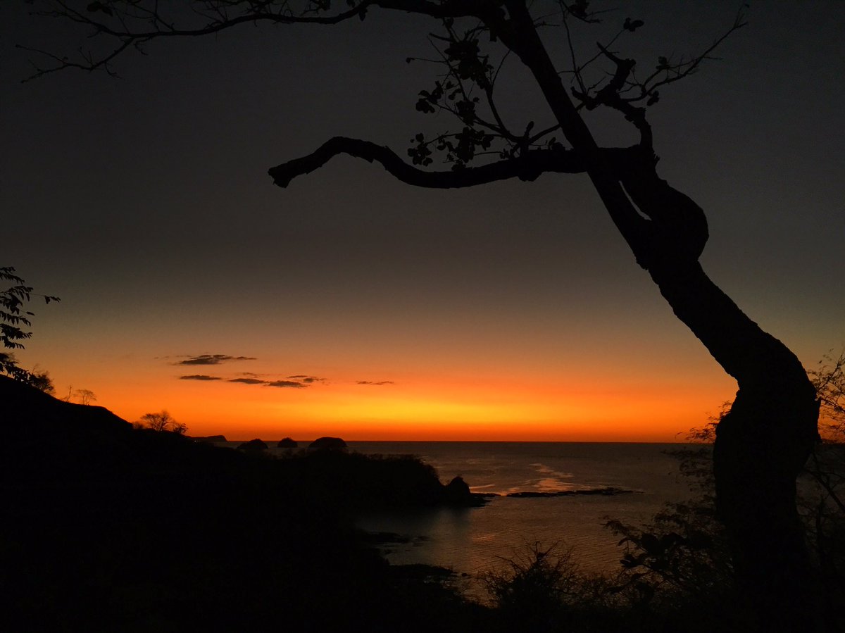 BaldiMontero's tweet photo. 😎 Guanacaste, Costa Rica https://t.co/1kp6Zs37TL