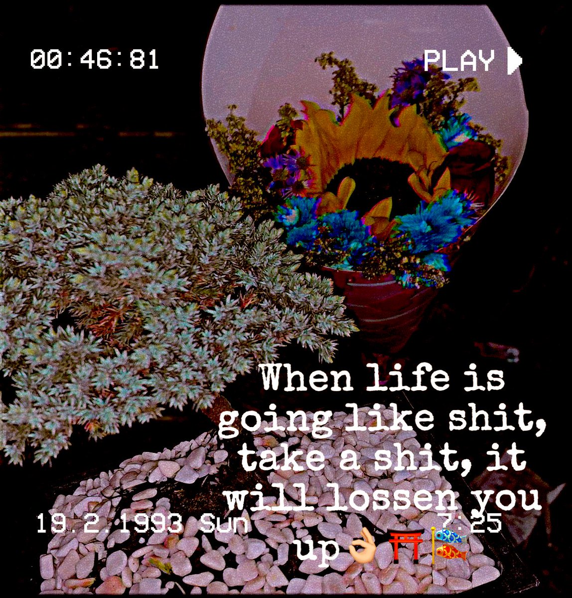 Mlaodvsjk's tweet photo. 🪄 https://t.co/V45MKpzqLC