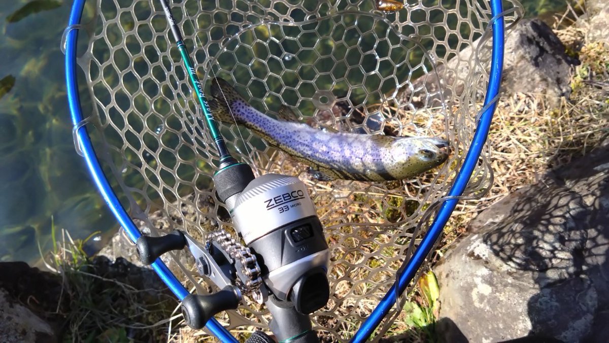 Lurecafe_01's tweet image. 時代は1.5倍速・・・という事で巻取速度を1.5倍に改造した33マイクロとオメガプロを管理釣り場で試してみました。

一応どちらも実釣可能という結論です。33マイクロはもうちょっとハンドルを長くしても良いかも。

次は渓流で使ってみたいですね。

#スピンキャスト 
#Spincast
#ゼブコ 
#Zebco