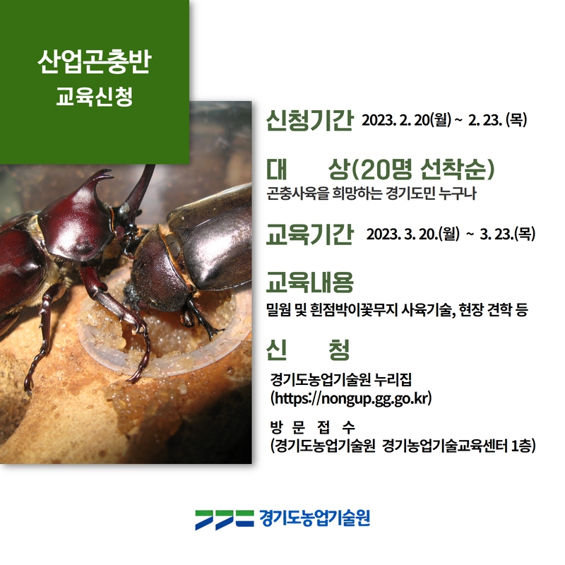ggnong0126's tweet image. #농업_전문교육 #산업곤충반 #교육생
2월 20일부터 23일까지 #모집

곤충 사육에 관심 있는 경기도민
신청하세요~
​
신청하러 가기 url.kr/936kpu