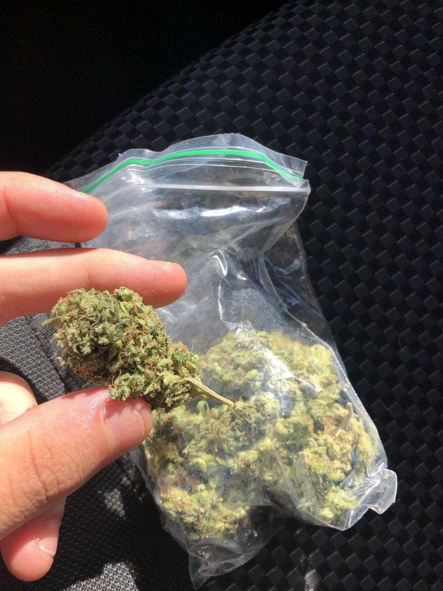 firstweedstore tweet picture