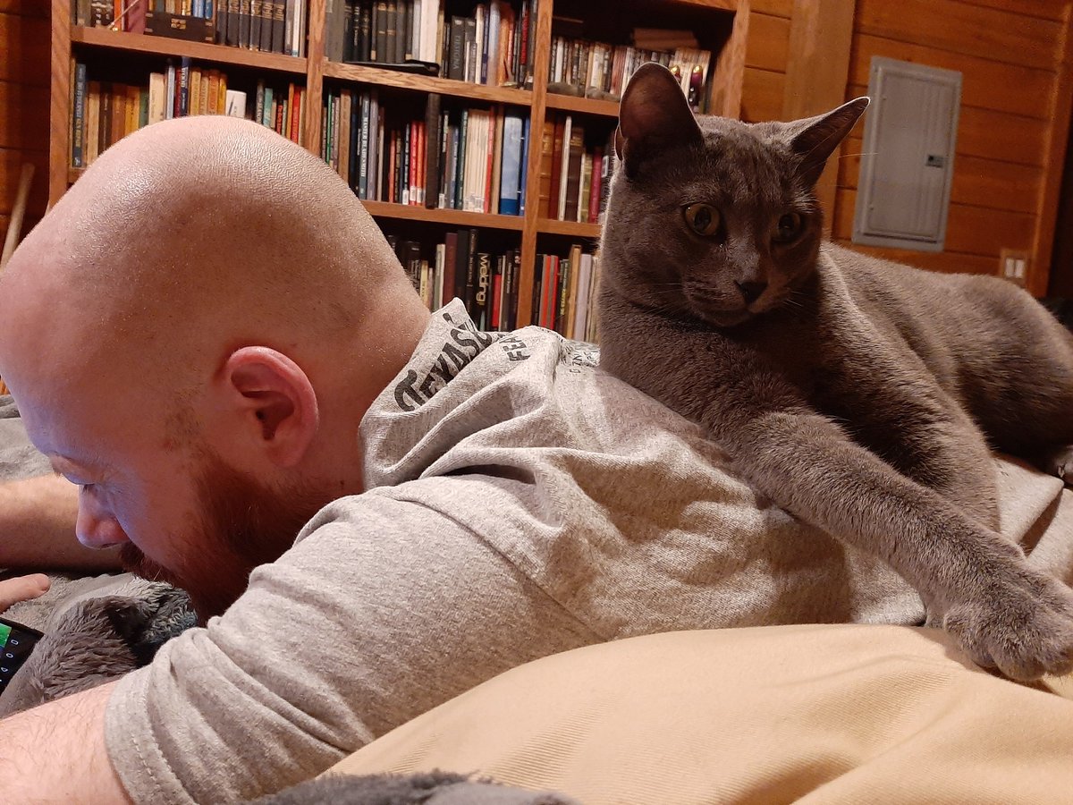 TamrisSylvan's tweet photo. @allensonarmory makes the best pillow! https://t.co/OSti0kblbF