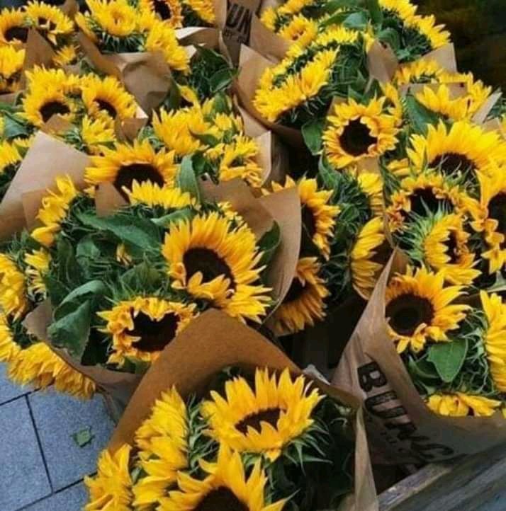hwaydt's tweet photo. https://t.co/3l11naMml1