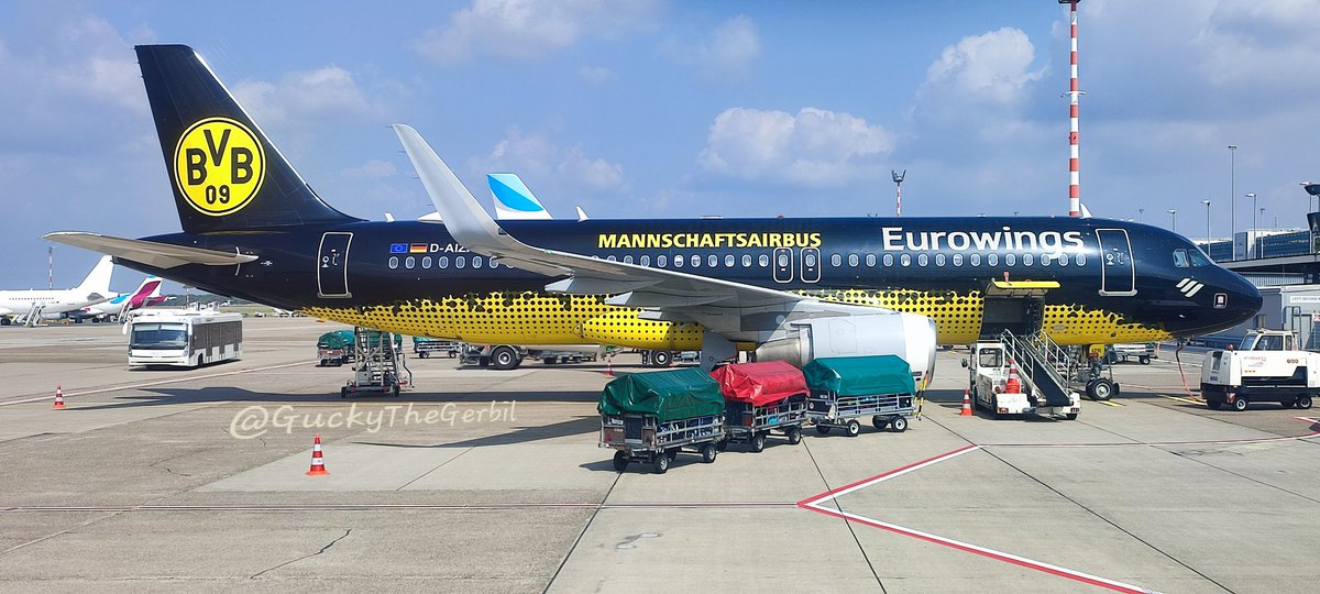 AVGυcкy tweet media