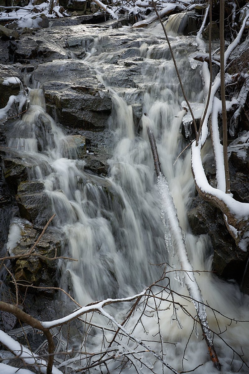 DrRob_Thacker's tweet photo. Took some time to appreciate the amazing scenery right on our doorstep #BMBCL #Halifax #kjipuktuk. Amazingly saw a few flies out in the 3 C weather. Half wonder if someone brought them in their car 😁#photography Thoughts for these pics, "flow" and "grow" https://t.co/EEbAc6rJDZ