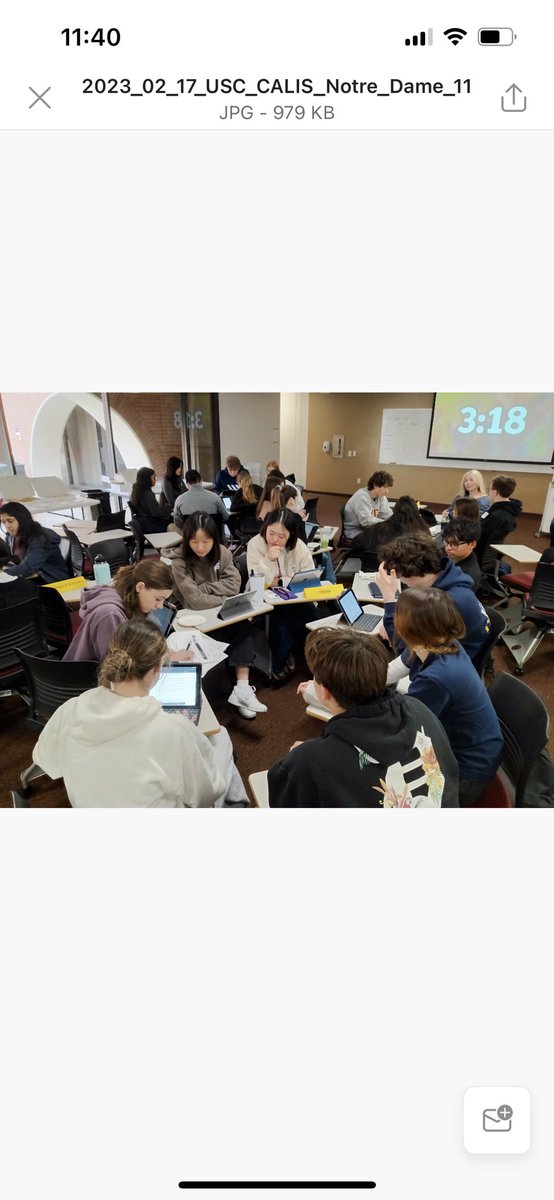 Shannon Gibson tweet media