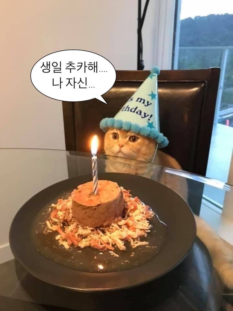 se_YE01's tweet photo. 요즘 활동이 별로 없었어서 머쓱하지만!
🎉🥰 https://t.co/CuUVCvvPrJ