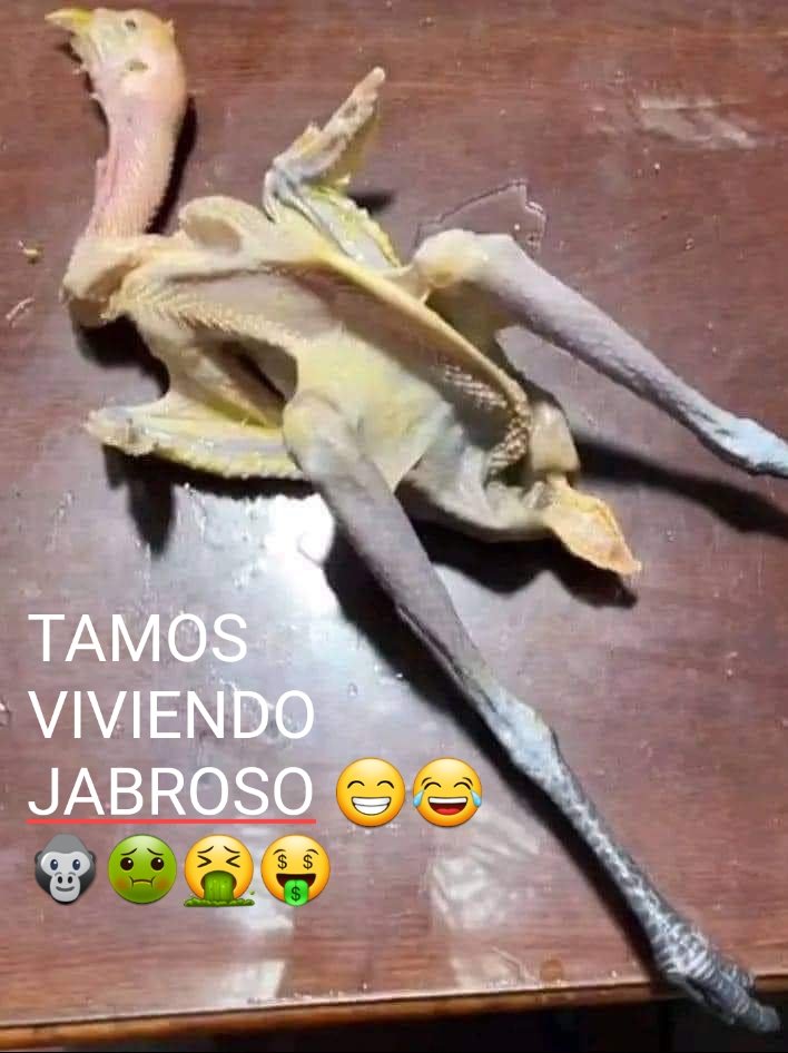 JosManu96511103's tweet photo. @fazperez #PetroGuerrillero #PetroNoMeRepresenta #PetroDictador #PetroEsMiseria #PrimeraLineaDelDelito #PrimeraLineaTerrorista PEEEETRISTES si saben no???les dieron por ese jopo una vez mas,LOS NADIES Y LAS NADIES ESTAN VIENDO SABROSO,pero no son los APELOTARDADOS cuidaperros...son del PH https://t.co/ljKYdADcxU