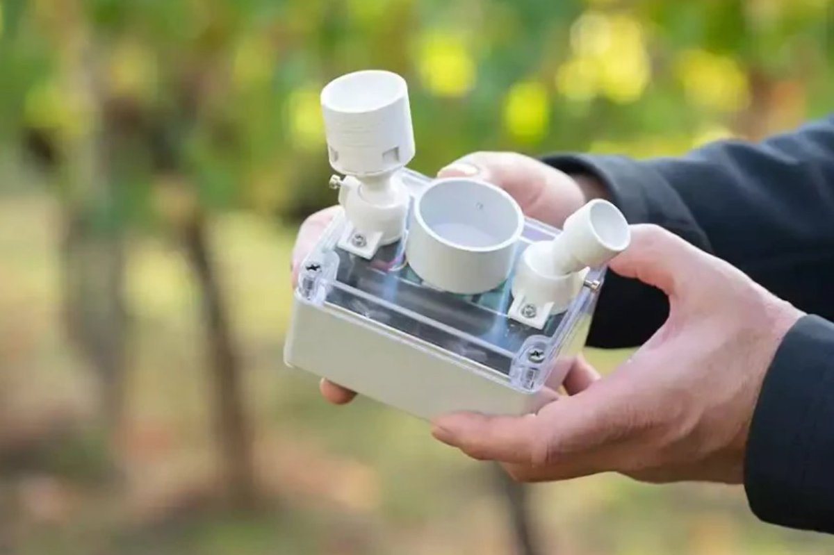 evokeAG's tweet photo. After years of research into how drought &amp; heat stress impact crops, SA Startup #AthenaIRTech have developed a solution to help farmers monitor &amp; water their plants at the best time to optimise growth. 💧🌱 Hear their 3 min showcase on day 1 at #evokeAG 👉 https://t.co/2XEw65rNdI https://t.co/hiuxeSCyHB