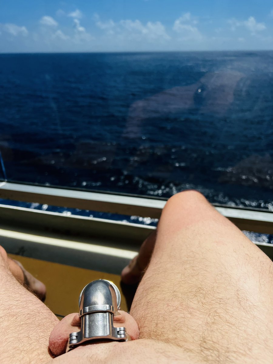 steelcollarbln's tweet photo. Even if on a cruise, there is no freedom at all 🫣
#chastity #suit #leather https://t.co/NiJBVDhJeP