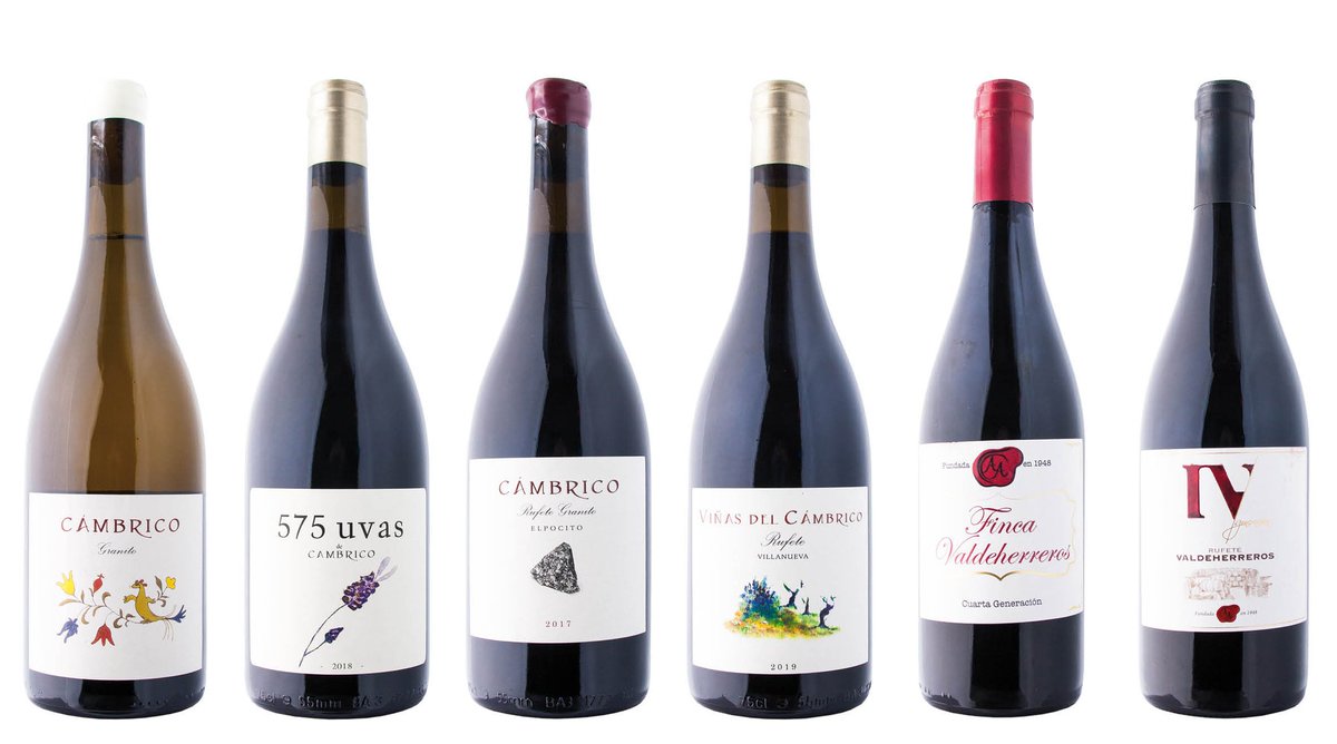 🍇De los rincones casi inexplorados de la <a href="/DOSalamanca/">DO Sierra Salamanca</a>, cuyo terreno aguanta gracias a las raíces de cepas que lo sujetan, muchas de ellas centenarias, estos vinos exclusivos por su limitada producción y expresión genuina🍷
<a href="/CambricoWine/">Bodega Cámbrico</a>, #CuartaGeneración
mivino.es/noticia/57/cat…