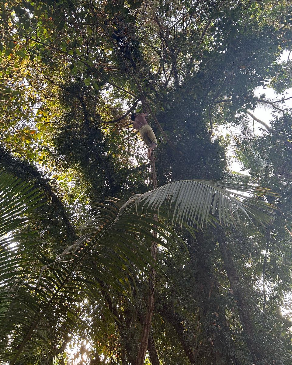 AmarnathPMenon's tweet photo. This is how I get high😏
Nature is the best gym…where else can you get a 16 metre rope and breathtaking view?
#verticalclimb
#ropeclimb
#naturethegym https://t.co/2g2TOfnGSC