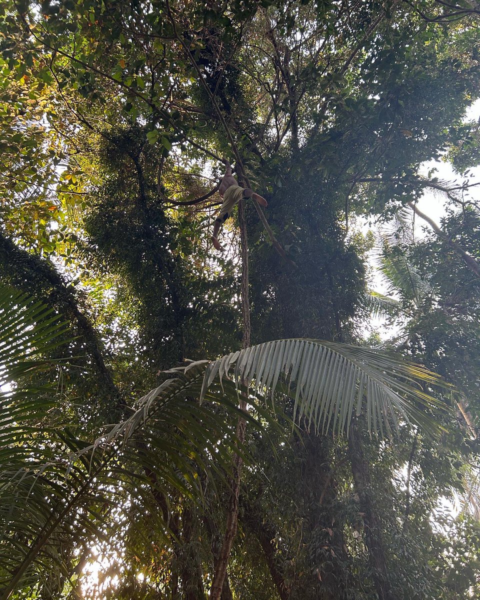 AmarnathPMenon's tweet photo. This is how I get high😏
Nature is the best gym…where else can you get a 16 metre rope and breathtaking view?
#verticalclimb
#ropeclimb
#naturethegym https://t.co/2g2TOfnGSC