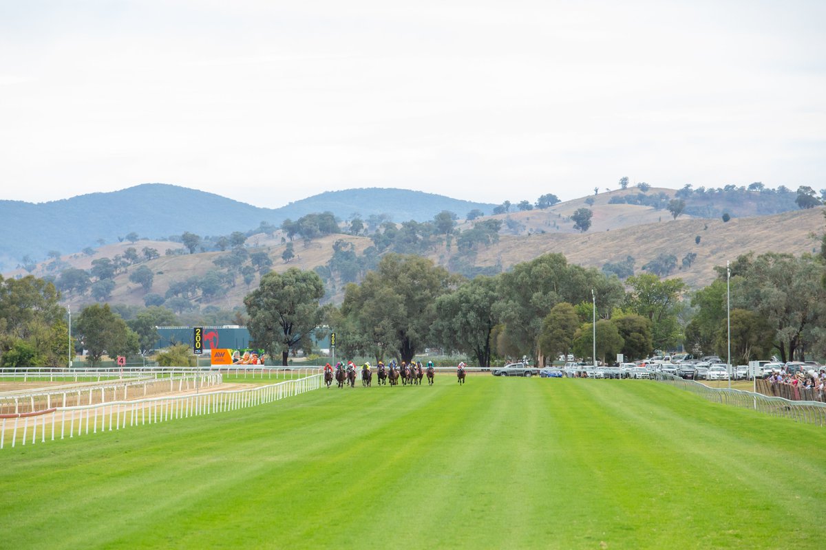 AlburyRacing's tweet photo. Newhaven Park SDRA Country Championships at Albury this Saturday Feb 25
Gates Open - 11.30am
Bars Open - 11.30am
First Race - 1.15pm
Last Race - 5.45pm
Feature Race - $150,000 @NewhavenPark SDRA Country Championships
Tickets: https://t.co/SOkfTC1VAY
@tabcomau  @racing_nsw https://t.co/VzJd2vro2e