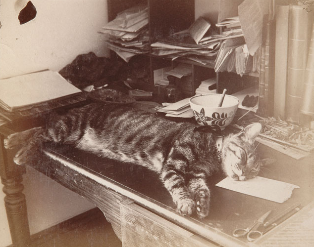 It's nice how we have always loved taking photos of cats sleeping in improbable places. Ca. 1884-1895. collections.theautry.org/mwebcgi/mweb.e…