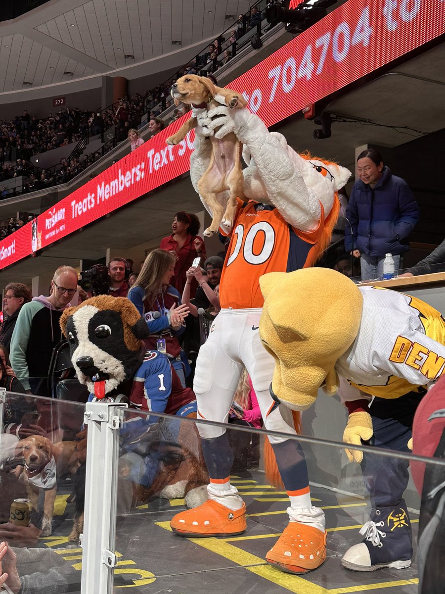 AnnePrebs's tweet photo. Simba!!! #GoAvsGo https://t.co/aTcICr8w56