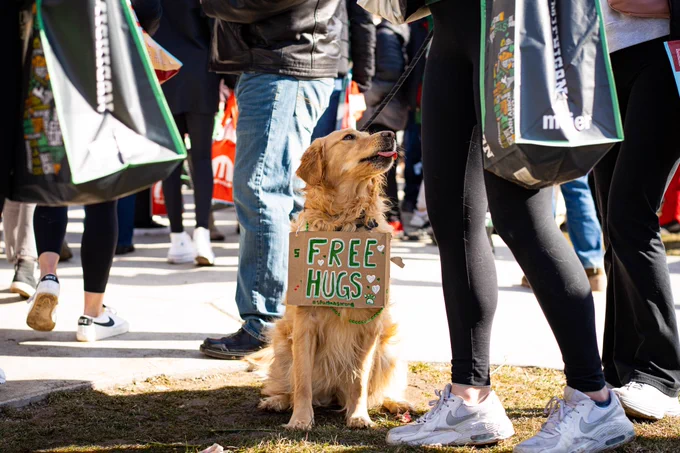 A golden retriever sitting on the ground with a sign around their neck that says free hugs