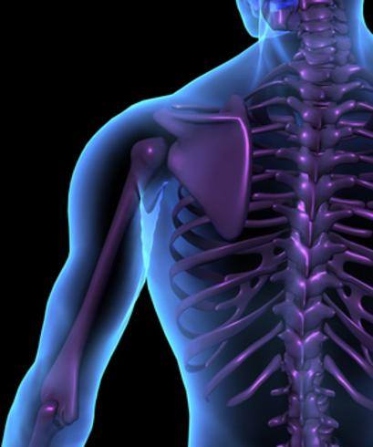 Festival Eclectica tweet media