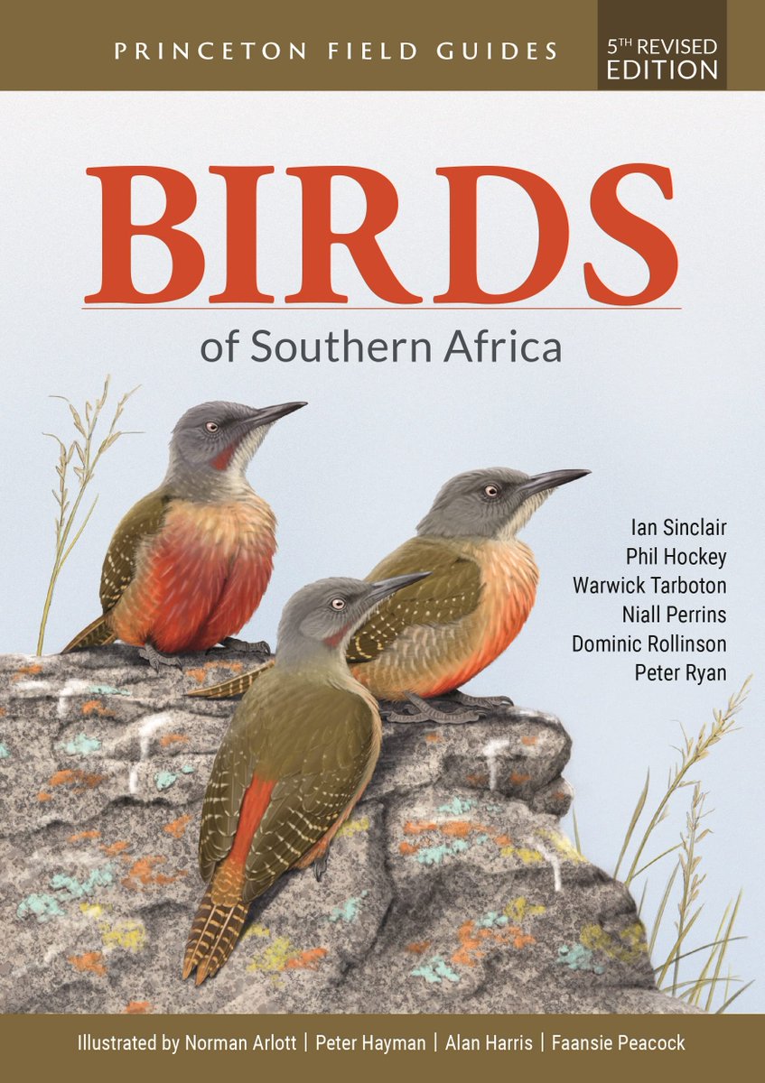 Birder's Library tweet media