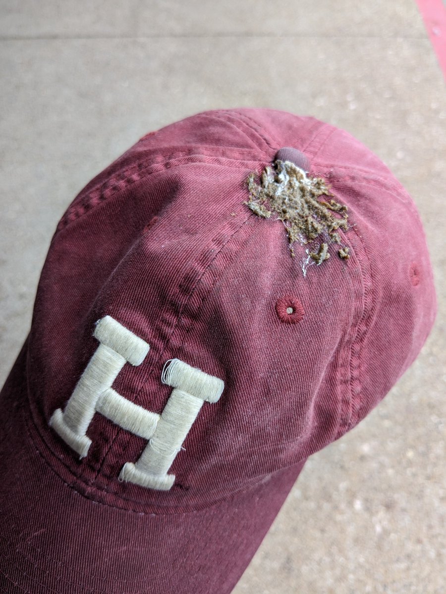 Saved by my education. 🚀 How's your day going? 😁 
#birdstrike #Dallas #Texas #birdshit #Harvard