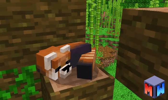 @ibruninmine tweet media