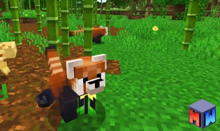 @ibruninmine tweet media