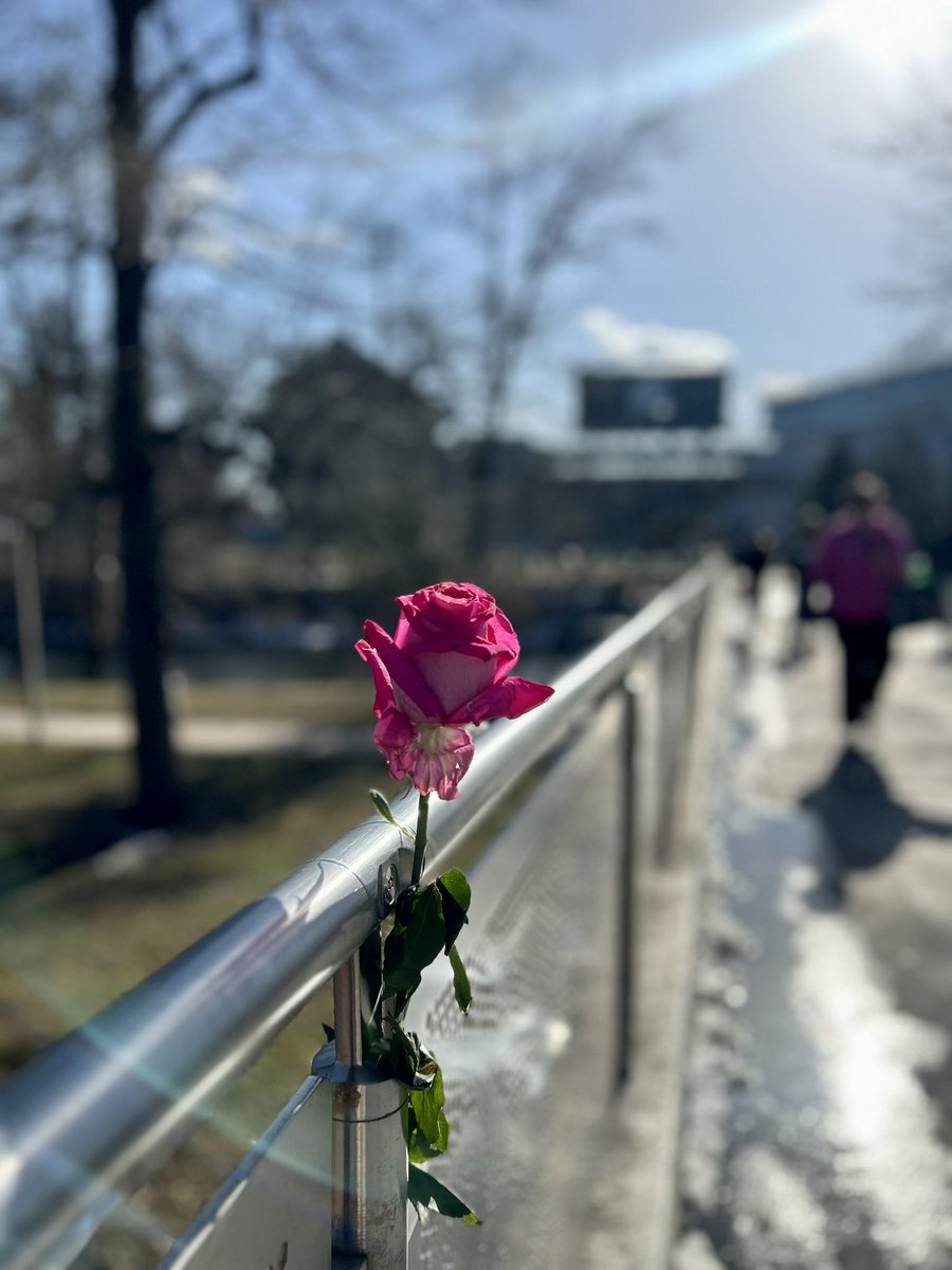 msupolice's tweet photo. This #SpartanSunday, we saw hope. We stand with our community and are absolutely committed to ensuring the safety of our campus. 

Please reach out to us anytime at 517-355-2221, or dial 911 for emergencies. We will continue to heal and be #SpartanStrong together. https://t.co/CSS9Ithe7z