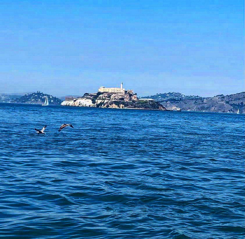 View of Alcatraz from Fisherman’s Whalf 🛳️⚓️
フィッシャーマンズ・ワーフから見えるアルカトラズ島😌
#travel #sanfrancisco #pier #alcatraz #view #ocean #sky #beautiful #fishermanswharf #oceano #embarcadero #cielo #viajes #旅行　#サンフランシスコ　#景色　#写真　#海　#空