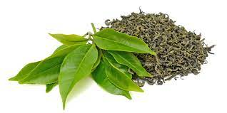 50Plushealths's tweet photo. The Health Benefits of #SenchaTea - #Antidepression Properties https://t.co/li094jPJ8X https://t.co/oRU7OeSJYA
