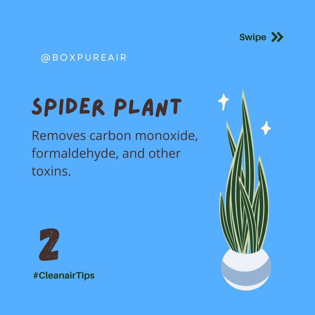 BPASolutions1's tweet photo. #cleanairtips https://t.co/w68gN4u2Gm