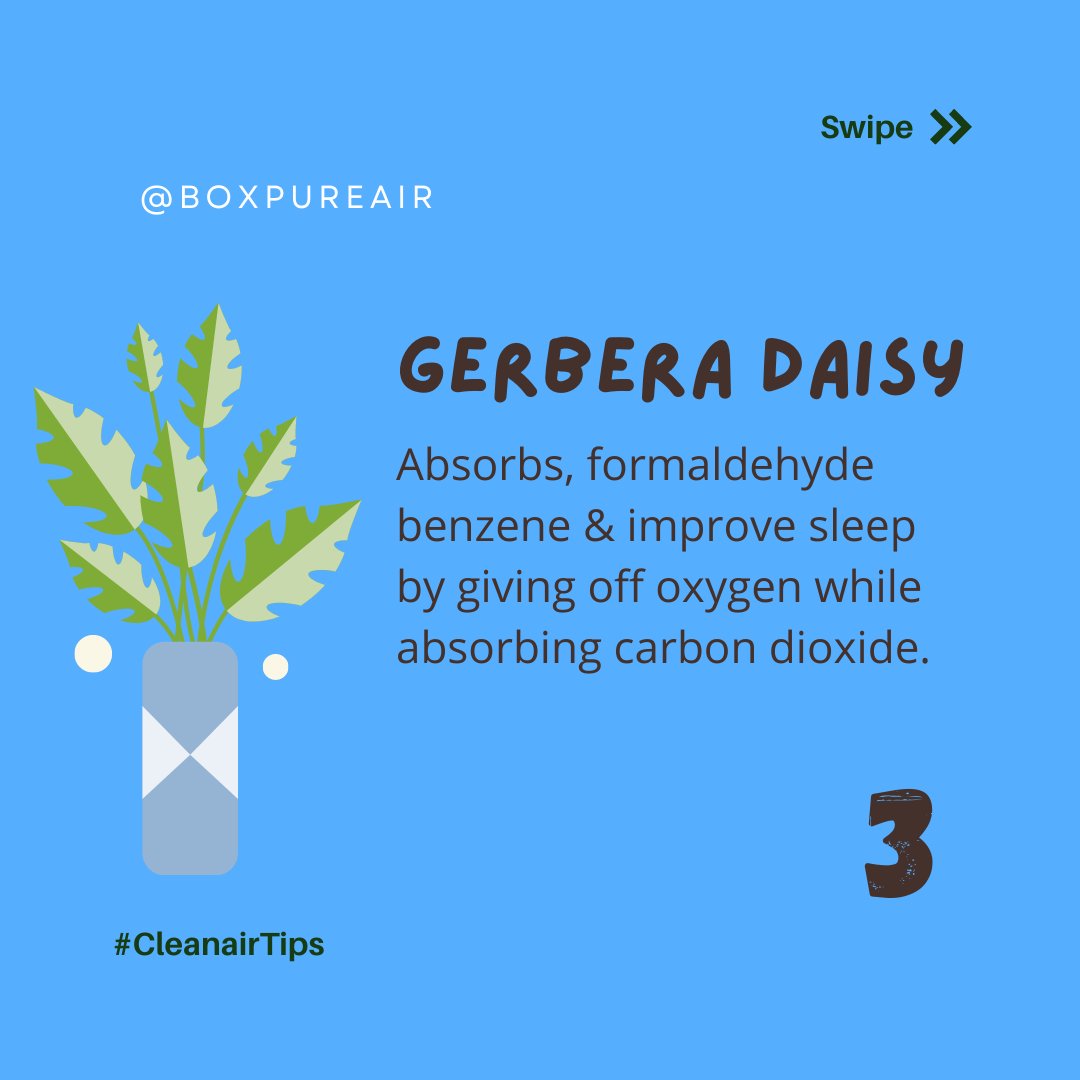 BPASolutions1's tweet photo. #cleanairtips https://t.co/w68gN4u2Gm