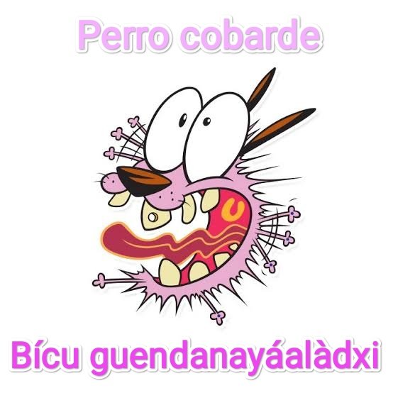 Goqui Xèe tweet media