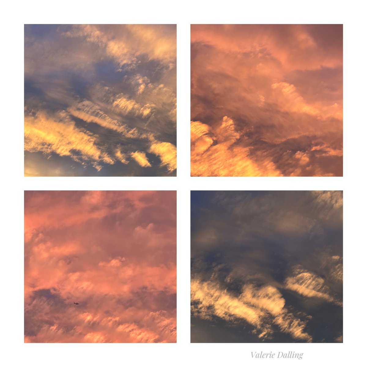 valeriedalling's tweet photo. A few more painterly skies from the garden tonight…straight from my #iPhone #nofilter #noprocessing https://t.co/FmxVRtWfWi