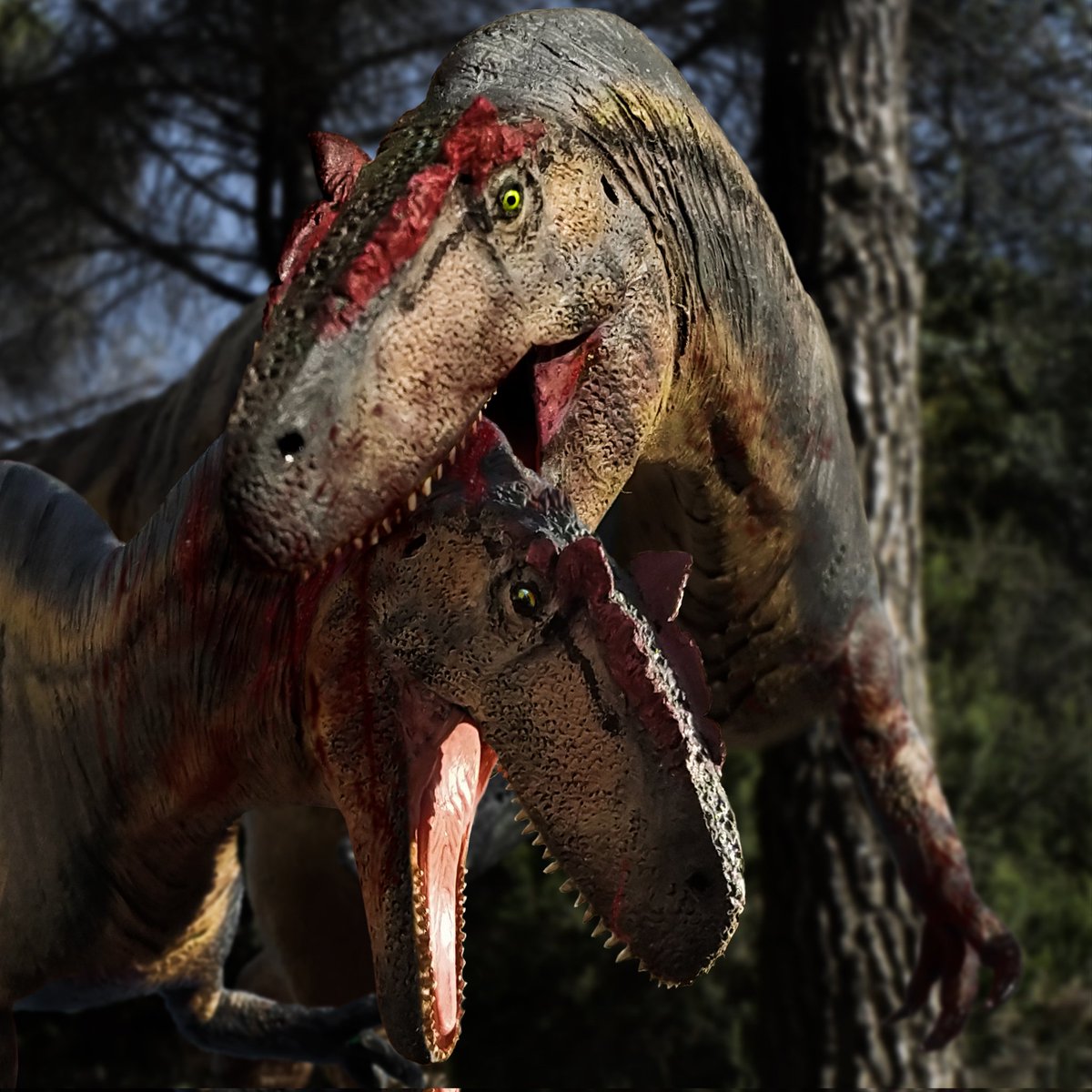 Allosaurus bust based on MOR 693 for a collaboration on theropod interactions.
#Sculpture #Allosaurus #AllosaurusJimmadseni #bigal #Saurophaganax #Epanterias  #prehistoricplanet #dinosaursculpture #Allosaurusfragilis #dinosaur #dinosaurs #Tyrannosaurusrex #palaeoart #paleoart