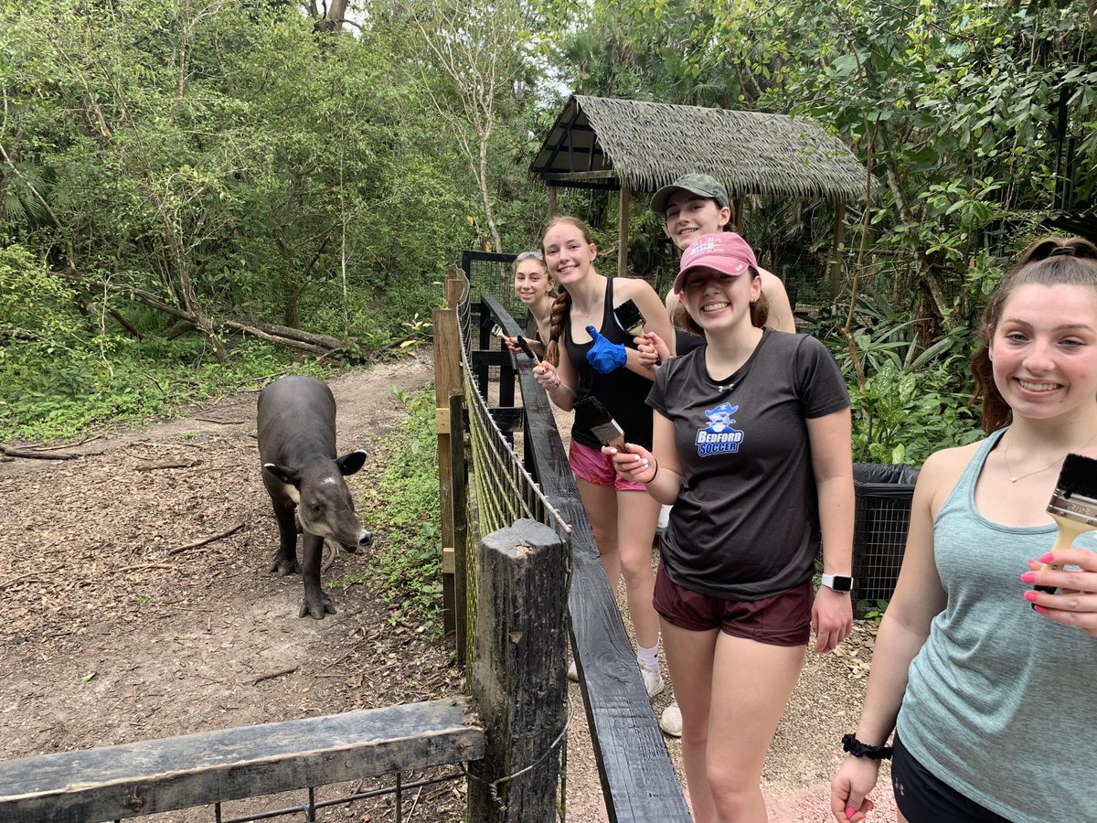 After painting railings for the afternoon, some pool time! ⁦<a href="/bhs_galante/">Heather Galante</a>⁩