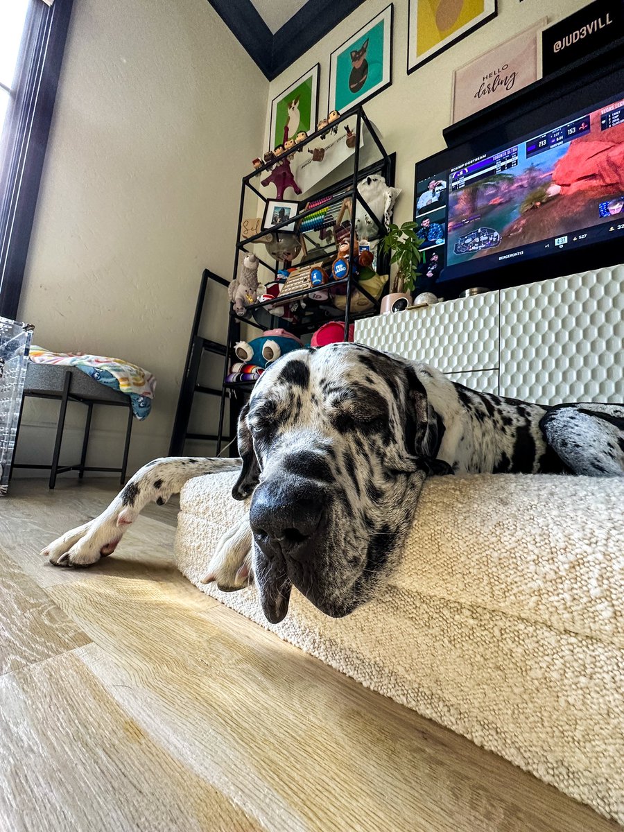 OpTic HecZ tweet media