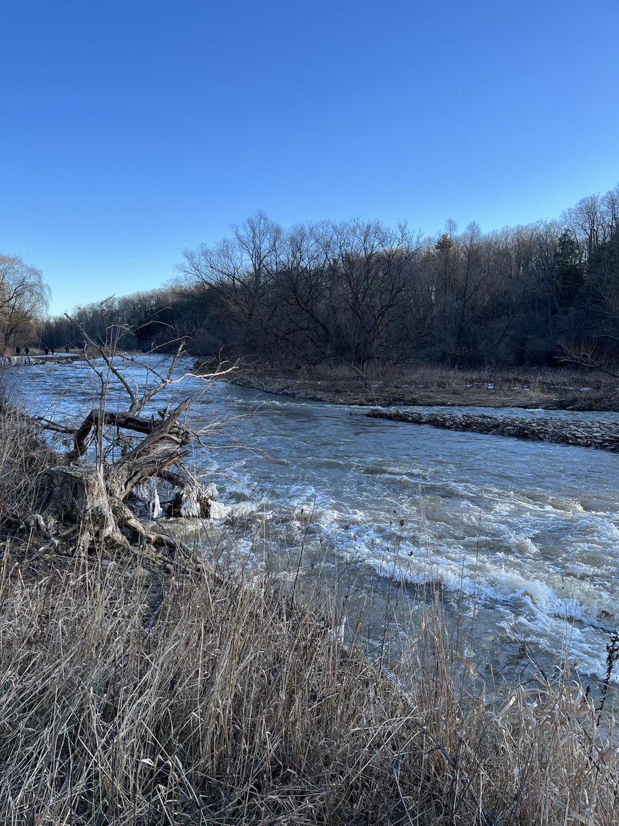 carolpyke1's tweet photo. Great view along the Credit River. https://t.co/iqBnlBd97R