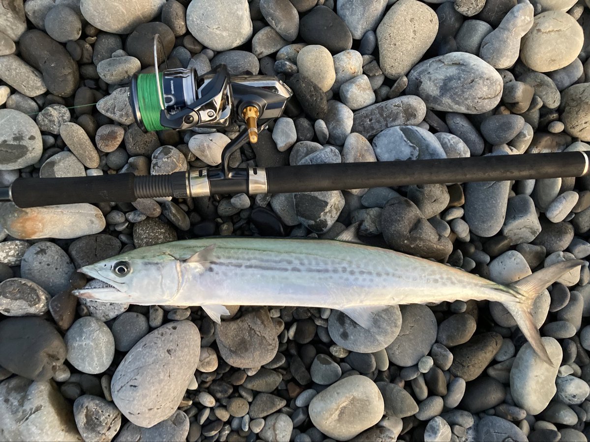 浦島太郎 tweet media